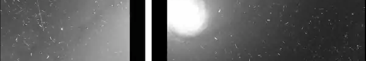 What Euclid really sees in the sky